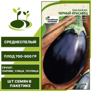 Баклажан "Черный Красавец", черно-фиолетовый, САДОВИТА, открытый и закрытый грунт, количество семян в пакетике 0,3 гр