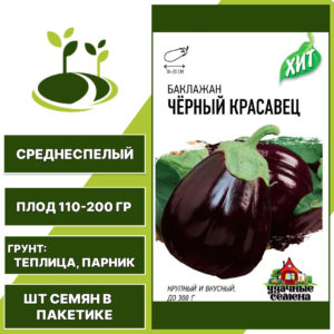 Баклажан "Черный Красавец" серия "ХИТ", коричнево-фиолетовый, УДАЧНЫЕ СЕМЕНА, закрытый грунт, количество семян в пакетике 0,1 гр