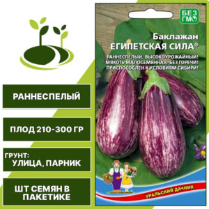 Баклажан "Египетская Сила", полосатый, УРАЛЬСКИЙ ДАЧНИК, открытый грунт, количество семян в пакетике 20 шт