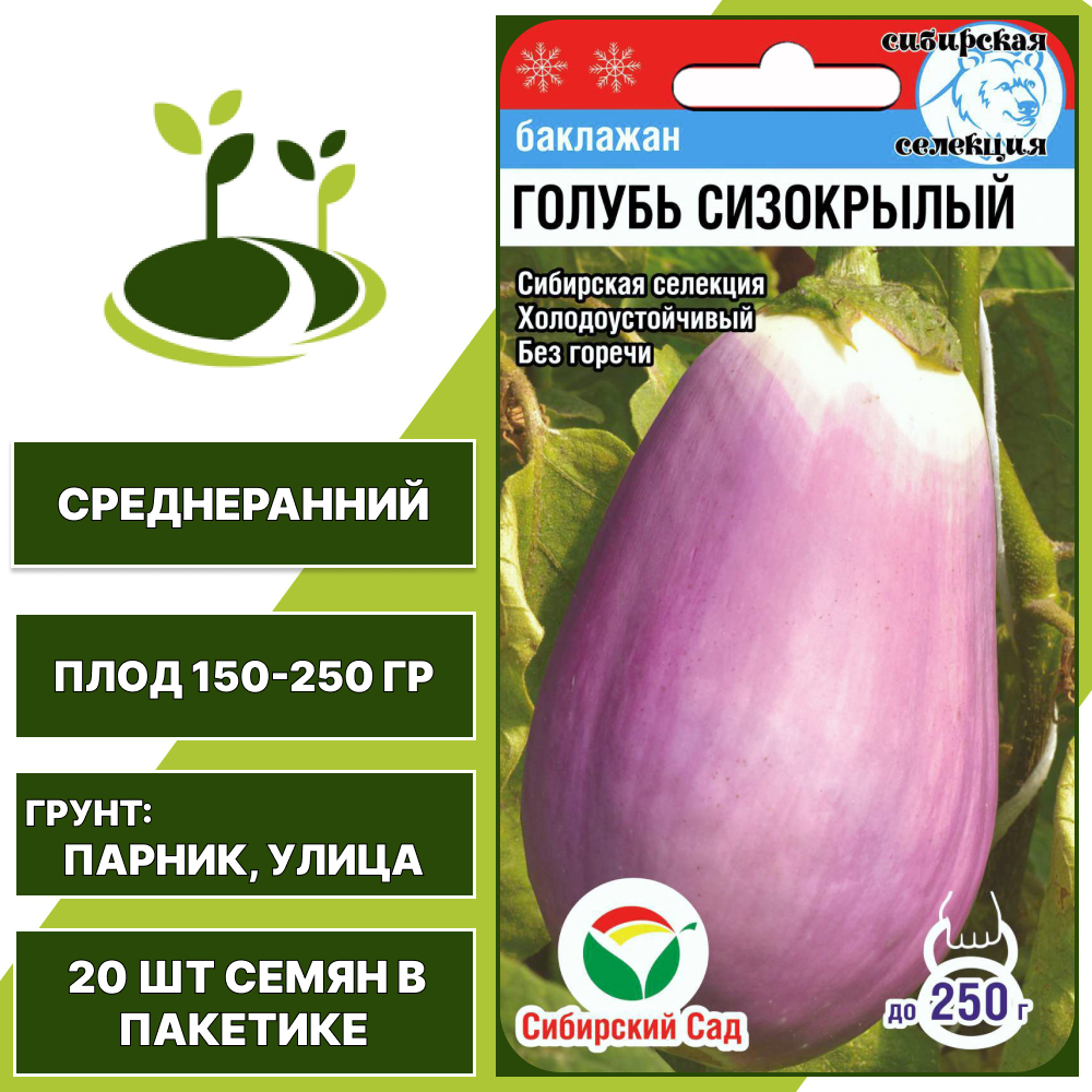Баклажан "Голубь Сизокрылый", сизо-сиреневый, СИБИРСКИЙ САД, открытый грунт, количество семян в пакетике 20 шт