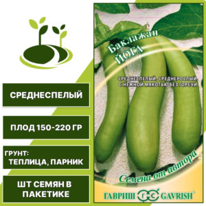 Баклажан "Йога", светло-зеленый, ГАВРИШ, закрытый грунт, количество семян в пакетике 0,1 гр