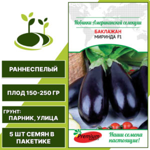Баклажан "Миринда" F1, темно-фиолетовый, ПРЕМИУМ СИДС, открытый грунт, количество семян в пакетике 5 шт