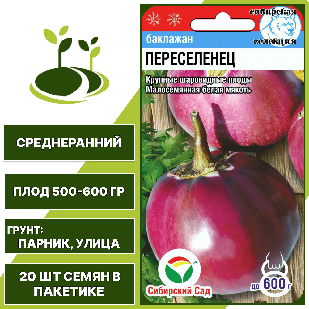 Баклажан "Переселенец", фиолетовый, СИБИРСКИЙ САД, открытый грунт, количество семян в пакетике 20 шт