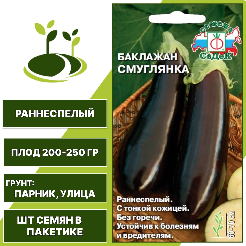 Баклажан "Смуглянка", темно-фиолетовый, СЕДЕК, открытый грунт, количество семян в пакетике 0,2 гр