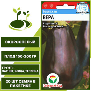 Баклажан "Вера", ярко-фиолетовый, СИБИРСКИЙ САД, открытый и закрытый грунт, количество семян в пакетике 20 шт