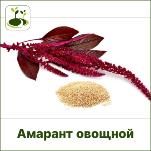 Амарант овощной