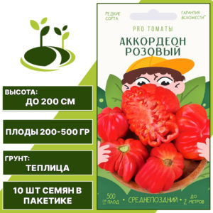 Томат "Аккордеон Розовый", АГРОНИ, розовый, индетерминантный, закрытый грунт, количество семян в пакетике 10 шт