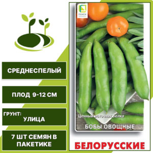 Бобы "Белорусские", ПОИСК, светло-зеленый, количество семян в пакетике 7 шт