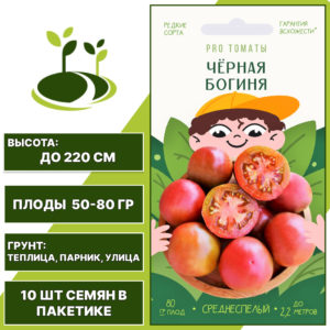 Томат "Черная Богиня", АГРОНИ, черно-фиолетово-оранжевый, индетерминантный, открытый и закрытый грунт, количество семян в пакетике 10 шт