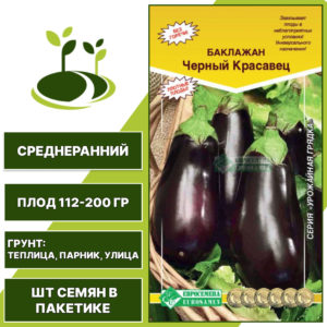 Баклажан "Черный Красавец", ЕВРОСЕМЕНА, коричнево-фиолетовый, открытый и закрытый грунт, количество семян в пакетике 0,3 гр