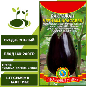 Баклажан "Черный Красавец", ПЛАЗМЕННЫЕ СЕМЕНА, темно-фиолетовый, открытый и закрытый грунт, количество семян в пакетике 0,3 гр