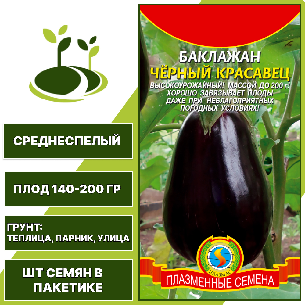 Баклажан "Черный Красавец", ПЛАЗМЕННЫЕ СЕМЕНА, темно-фиолетовый, открытый и закрытый грунт, количество семян в пакетике 0,3 гр