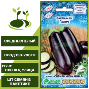 Баклажан "Галич", ЕВРОСЕМЕНА, темно-фиолетовый, открытый грунт, количество семян в пакетике 0,3 гр