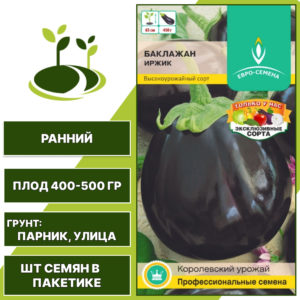 Баклажан "Иржик", ЕВРО-СЕМЕНА, черно-фиолетовый, открытый грунт, количество семян в пакетике 0,1 гр