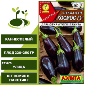 Баклажан "Космос" F1, АГРОФИРМА АЭЛИТА, темно-фиолетовый, открытый грунт, количество семян в пакетике 0,2 гр