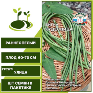 Вигна "Кудесница", СЕДЕК, зеленый, коричневый, количество семян в пакетике 2 гр