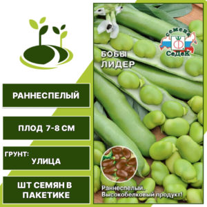 Бобы "Лидер", СЕДЕК, зеленый, количество семян в пакетике 10 гр
