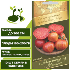 Томат "Марманде Из Монплее", АГРОНИ, оранжево-красный, полудетерминантный, открытый и закрытый грунт, количество семян в пакетике 10 шт