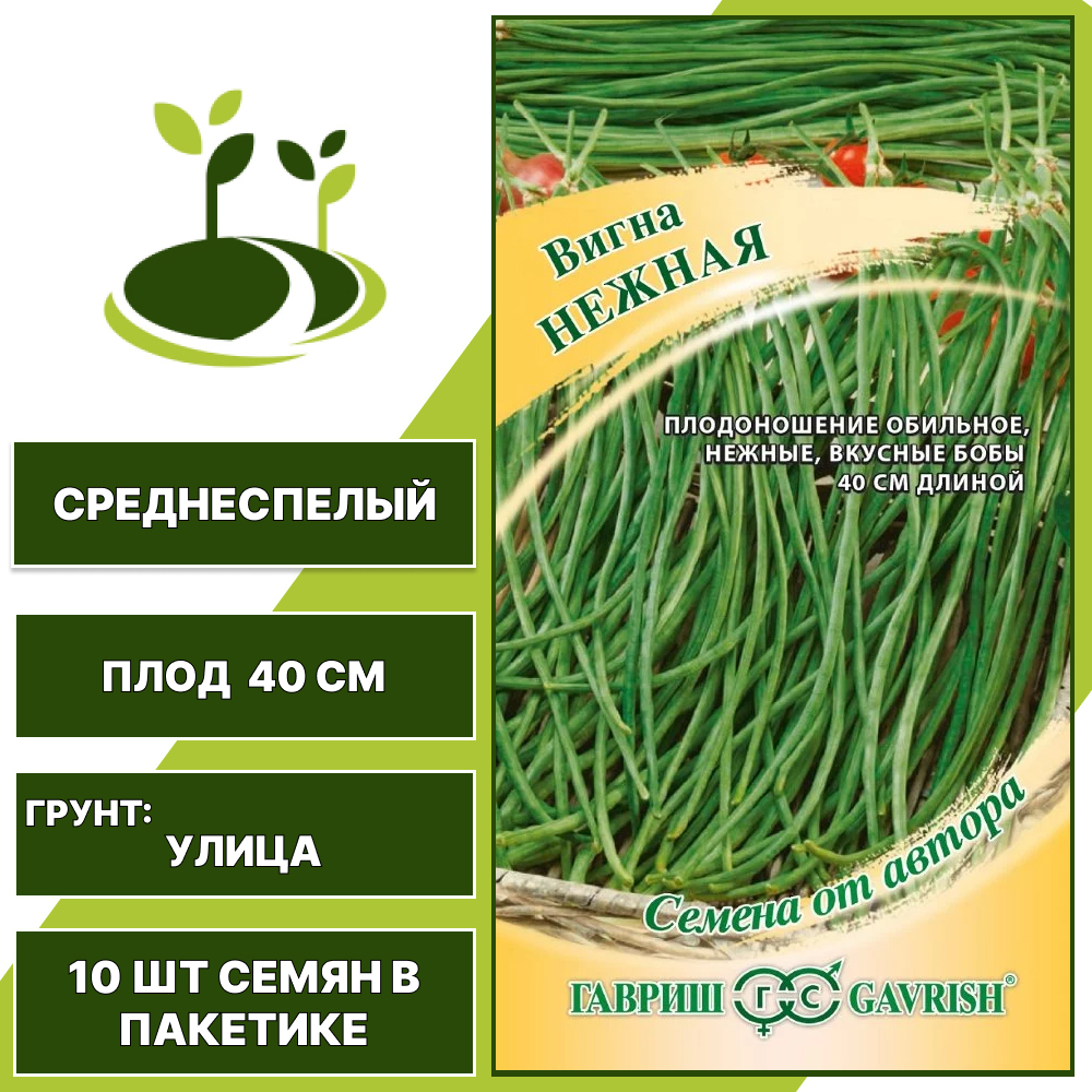 Вигна "Нежная", ГАВРИШ, темно-зеленый, черный, количество семян в пакетике 10 шт