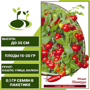 Томат "Пиноккио", АГРОНИ, красный, штамбовый, горшечный грунт, количество семян в пакетике 0,1 гр