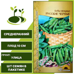 Бобы "Русские Черные", АС-СЕМЕНА, зеленый, темно-фиолетовый, количество семян в пакетике 6 шт