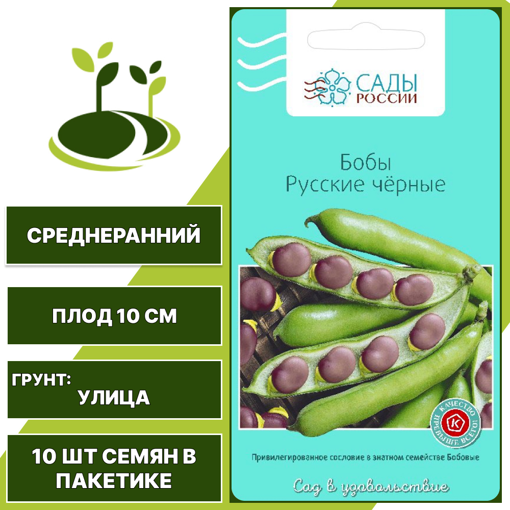Бобы "Русские Черные", САДЫ РОССИИ, темно-фиолетовый, зеленый, количество семян в пакетике 10 шт
