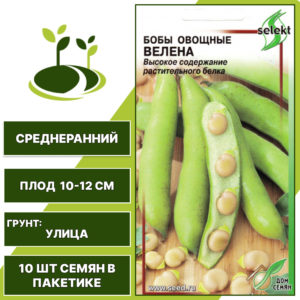 Бобы "Велена", ДОМ СЕМЯН, темно-зеленый, бежевый, количество семян в пакетике 10 шт