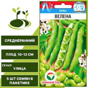 Бобы "Велена", СИБИРСКИЙ САД, светло-палевый, количество семян в пакетике 5 шт
