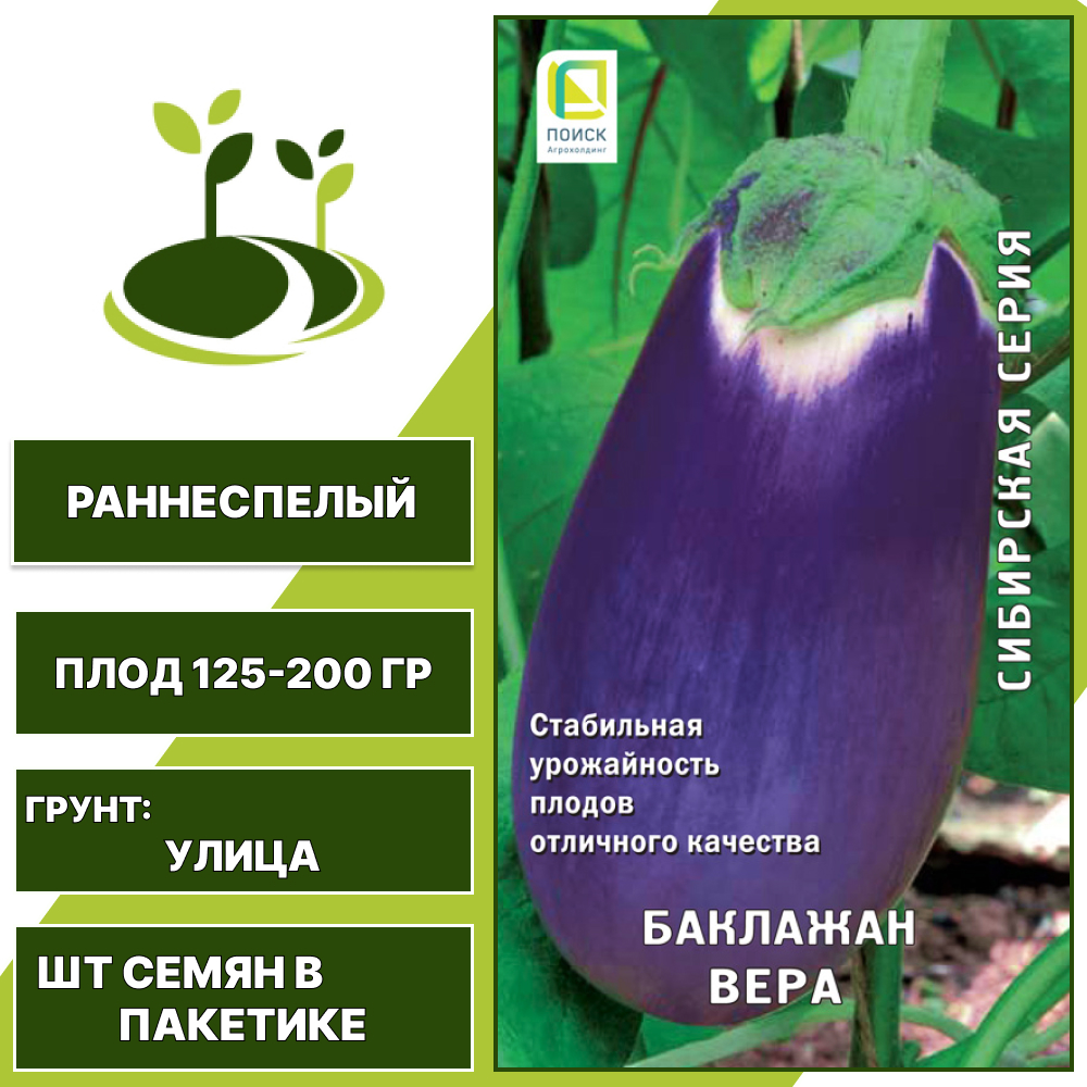 Баклажан "Вера", АГРОФИРМА ПОИСК, ярко-фиолетовый, открытый грунт, количество семян в пакетике 0,25 гр — изображение 2