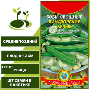 Бобы "Виндзорские Белые", ПЛАЗМЕННЫЕ СЕМЕНА, белый, количество семян в пакетике 5,5 гр