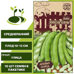 Бобы "Янкель Бялы", ГАВРИШ, белый, количество семян в пакетике 10 шт