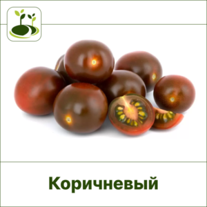 Томат Черри шоколадный-Закрытый грунт