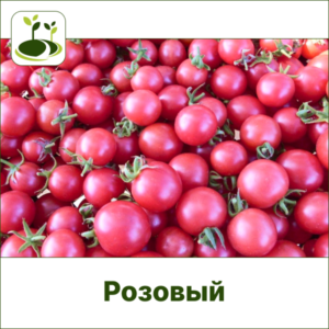 Томат Черри розовый-Закрытый грунт