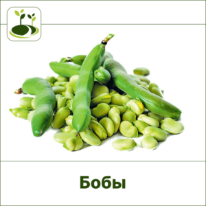Бобы