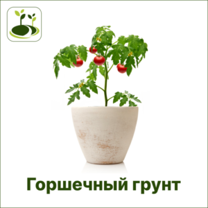 Томат-Горшечный грунт