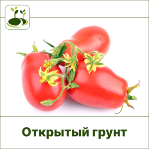 Томат красный-Открытый грунт