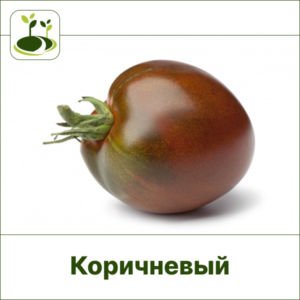 Томат шоколадный-Закрытый грунт