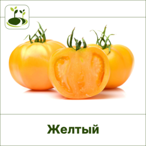 Томат желтый-Закрытый грунт