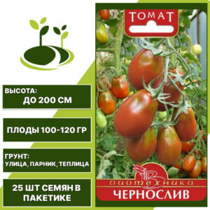Томат "Чернослив", БИОТЕХНИКА, шоколадный, индетерминантный, открытый и закрытый грунт, количество семян в пакетике 25 шт