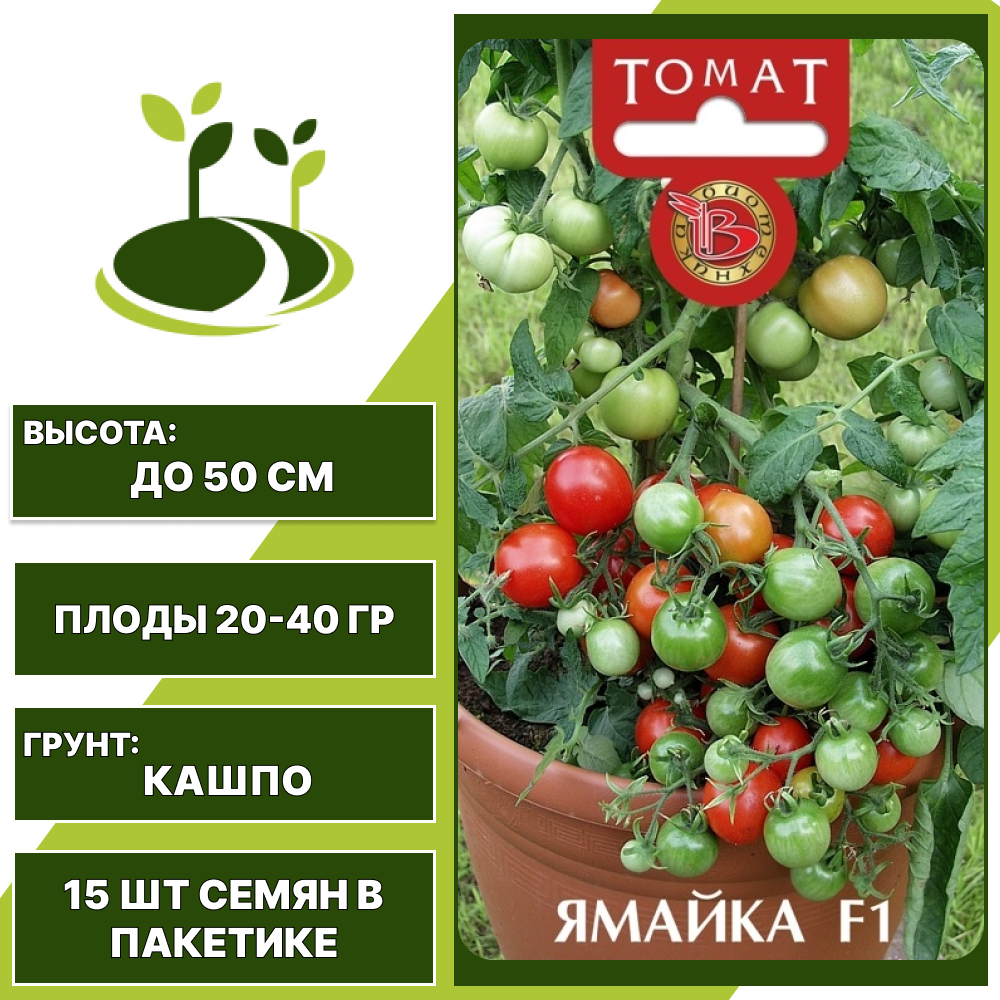 Томат "Ямайка" F1, БИОТЕХНИКА, красный, штамбовый, горшечный грунт, количество семян в пакетике 15 шт