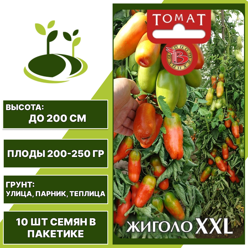 Томат "Жиголо XXL", БИОТЕХНИКА, красный, индетерминантный, открытый и закрытый грунт, количество семян в пакетике 10 шт