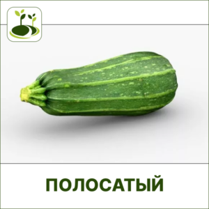 Кабачок полосатый