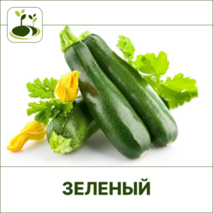 Кабачок зеленый