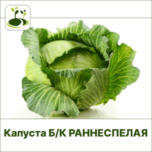Капуста Б/К раннеспелая