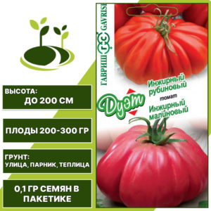 Набор семян Дуэт "Инжирный Рубиновый" и "Инжирный Малиновый", ГАВРИШ, открытый и закрытый грунт, количество семян в пакетике 0,05 гр + 0,05 гр