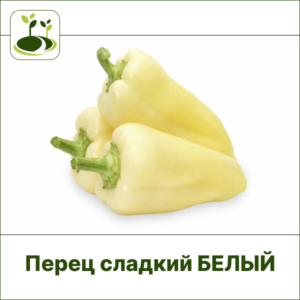 Перец сладкий ЗГ белый