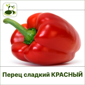 Перец сладкий ЗГ красный