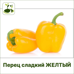 Перец сладкий ЗГ желтый
