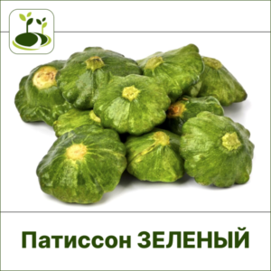 Патиссон зеленый