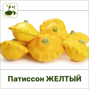 Патиссон желтый